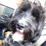 keith vickers - @vickers9439 - Instagram