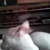 Keith Wages - @keith.wages - TikTok