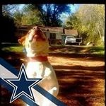 robert keith waggoner - @robertkeithwaggoner - Instagram