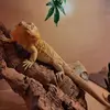 keith_wales - @keith_wales - TikTok