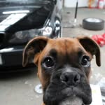 Keith Walker - @murphysbestpal - Instagram