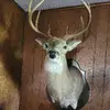 Keith Walker - @keith.walker73 - TikTok