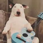 S A S H A - @_keith__walker_ - Instagram