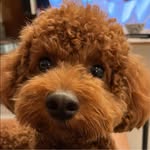 Keith Wan - @wankh38 - Instagram