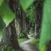 nathanandrewwhiteicl - @keithwang1492 - TikTok