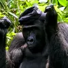 keith.wattenbarger - @keith.wattenbarger - TikTok
