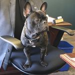 Keith Werner - @kwerner68 - Instagram