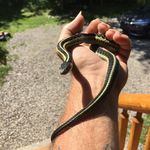 Keith werner - @keitts666 - Instagram