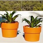 largeflowerpots.co.uk - @wheatley.keith - Instagram