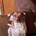 Keith Wicker - Facebook