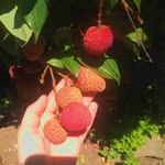 Keith Wilcox - @keithwilcox53 - Instagram