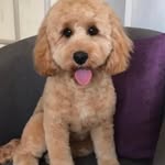 Keith Wilde - @keith.wilde2024 - Instagram