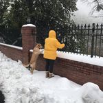 Keith Wing - @keefwing - Instagram