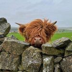 Keith Wingard - @gooddaddybbqsauce - Instagram