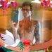 Keith Wirth - Facebook