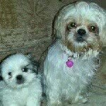 Keith Worthington - @keithworthington - Instagram