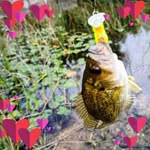 Keith Worthington - @keith.worthington - Instagram