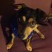 Keith Yamamoto - Facebook