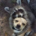 Keith Zinn - @zinn_keith - Instagram