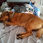 Keith Zinn - @keith.zinn - Instagram