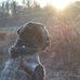 Kelby Cox - Facebook