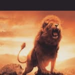 KelbyJohnson - @kelbyjohnson5044 - Instagram