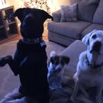 Keli Perry Hays - @kperryhays - Instagram