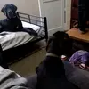 kelialee0 - @kelialee0 - TikTok