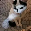Kellan Jenkins - @kellan.jenkins1 - TikTok