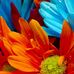 Kellen Liu - Facebook