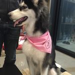liu - @kellenliu - Instagram