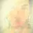Kellen Markham - @userl3coe1ml32 - TikTok
