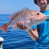 kellensmith06 - @kellensmith09 - TikTok