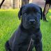 Kelly Weidner - Facebook