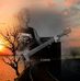 Amos Kelley - Facebook