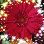 Kelley Browning - @kelleybrowning610 - Instagram