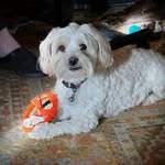 Kelley Slade Browning - @kelleybrowning - Instagram