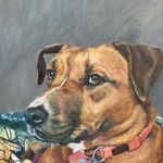 Kelley Bush - @petportraitsbykelleybush - Instagram