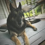 Kelley Callahan Marlowe - @kelmarlowee - Instagram