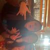 Kelly Carr - @kellcarr4711 - TikTok