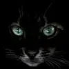 Kelley Chambers407 - @kelleychambers407 - TikTok