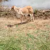 Kelly.Conrad - @provirwl1cu - TikTok