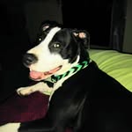 Kelly Cullen - @kelly.cullen.589100 - Instagram