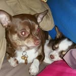 Kelley Cunningham - @kelleycunningham1963 - Instagram