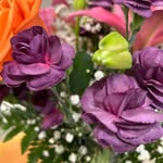Kelley Cunningham Stewart - @kcs1962 - Instagram
