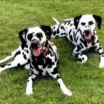 Kelley D. Cunningham - @blubella22 - Instagram