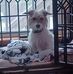 Kelli Davidson - Facebook
