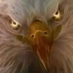 Dennis Kelley - @kelleydennis545 - Instagram