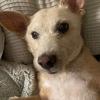 Kelly doan - @kelly.doan - TikTok