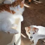 Kelley Douglas - Facebook